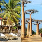 Madagascar: Discovering the Ideal Place to Call Home on This Enchanting Island