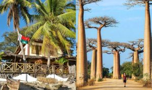 Madagascar: Discovering the Ideal Place to Call Home on This Enchanting Island