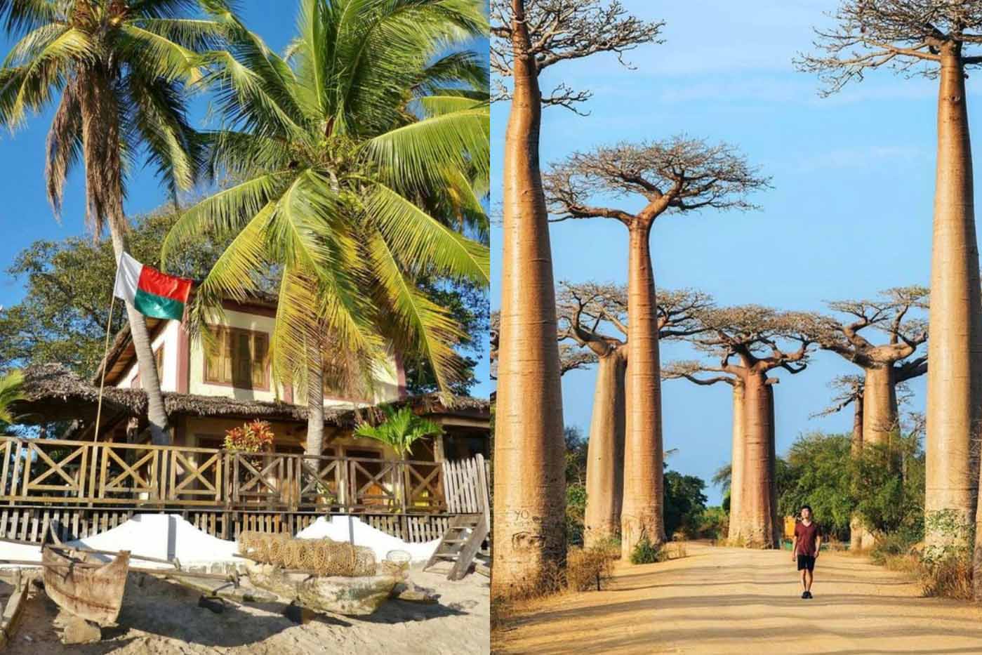 Madagascar: Discovering the Ideal Place to Call Home on This Enchanting Island